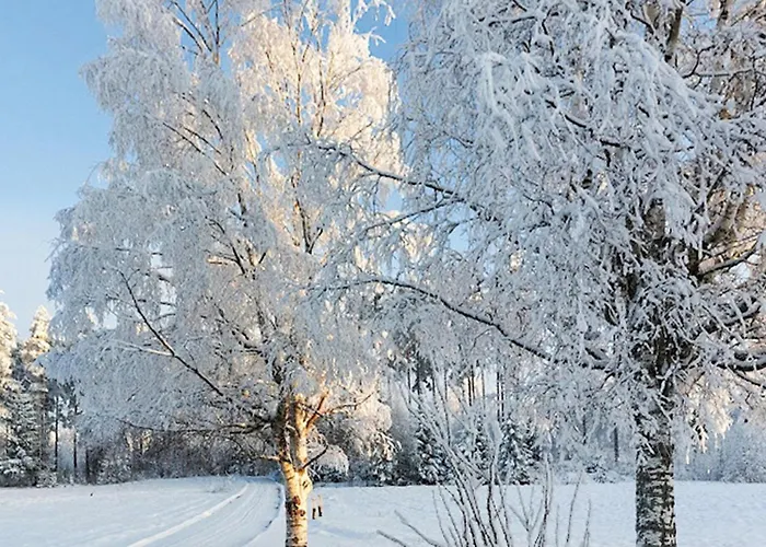 度假居 In Braskereidfoss With Wifi *